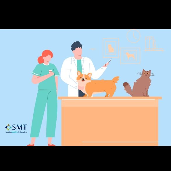 Médicos Veterinarios en Tampico