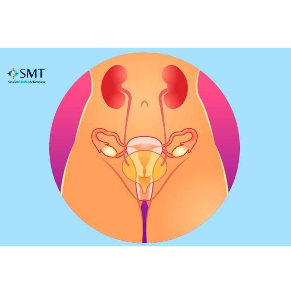 Uroginecólogos en Tampico